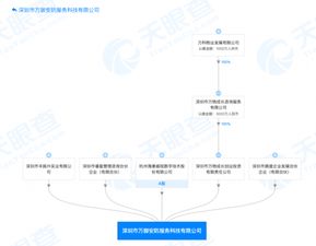 強強聯合 萬科物業與?？低暫腺Y成立安防產品公司，布局智能安防新藍海