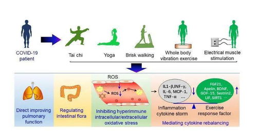 運動醫(yī)學與健康科學 2021年第4期導讀